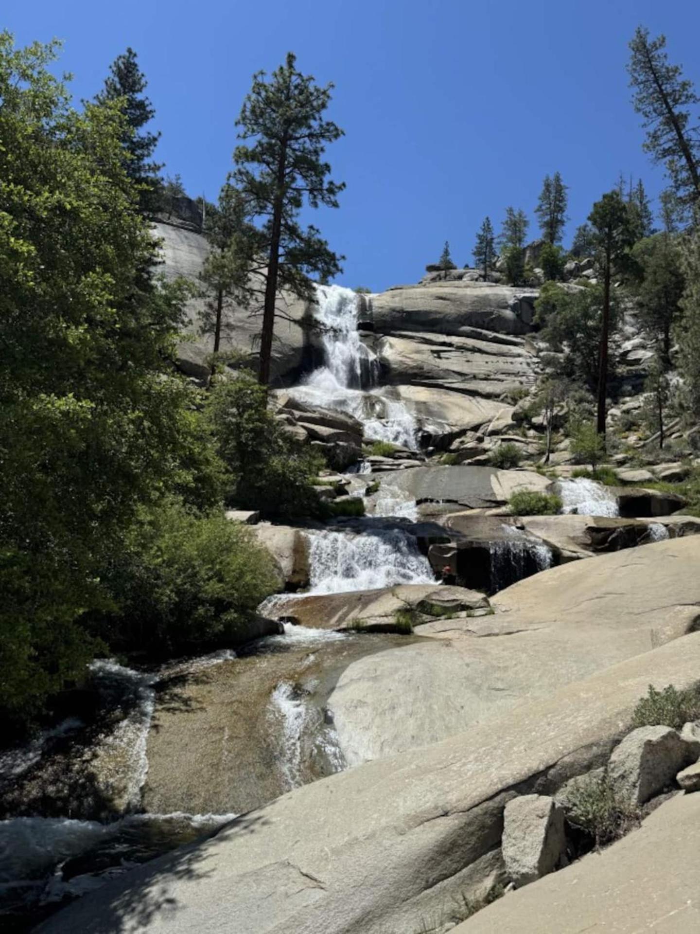 Peppermint Falls Ranch Ponderosa Esterno foto